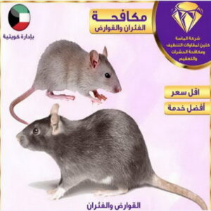 مكافحة حشرات - المحترفون 56610883 - شركة مكافحة حشرات - مكافحة حشرات وقوارض - مكافحة بق - رش صراصير - مكافحة نمل - شركة حشرات - مكافحة فئران